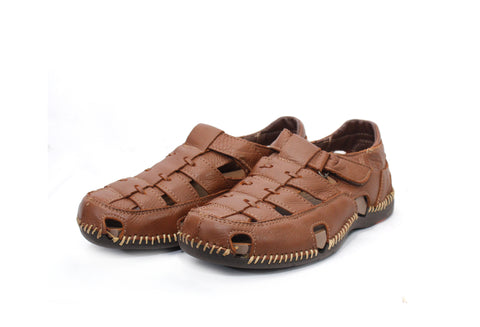 LOBO SOLO 6563 HIMALAYA CEDRO