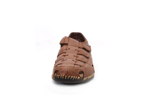 LOBO SOLO 6563 HIMALAYA CEDRO