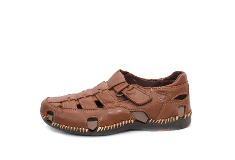 LOBO SOLO 6563 HIMALAYA CEDRO