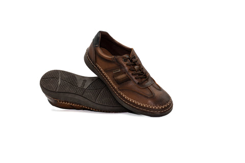 LOBO SOLO 8154 HIMALAYA CEDRO