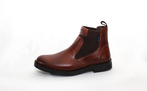 SPEEDY 7798 IBERICA TAN